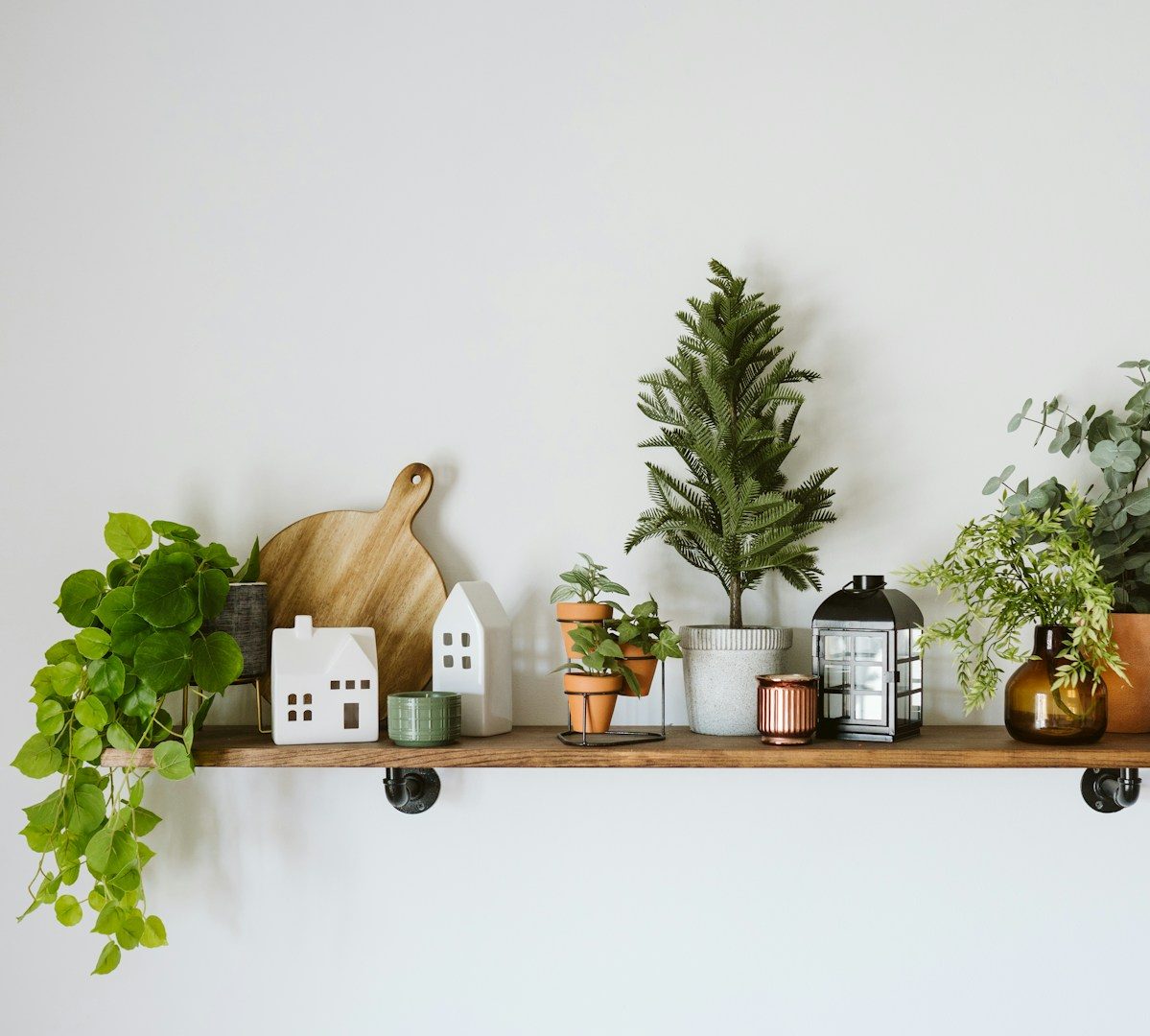 Étagère intérieure avec des plantes en pot, des accessoires de cuisine et des décorations.