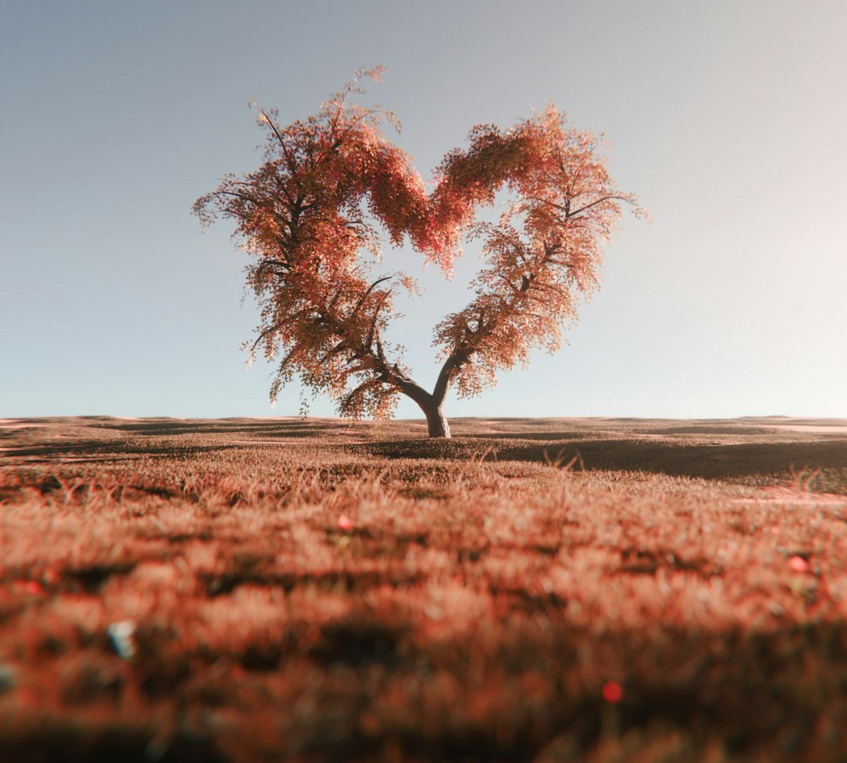 Arbre en forme de cœur avec des feuilles orangées dans un paysage paisible.